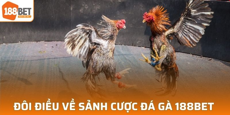 Tổng quan về sảnh cược đá gà 188BET